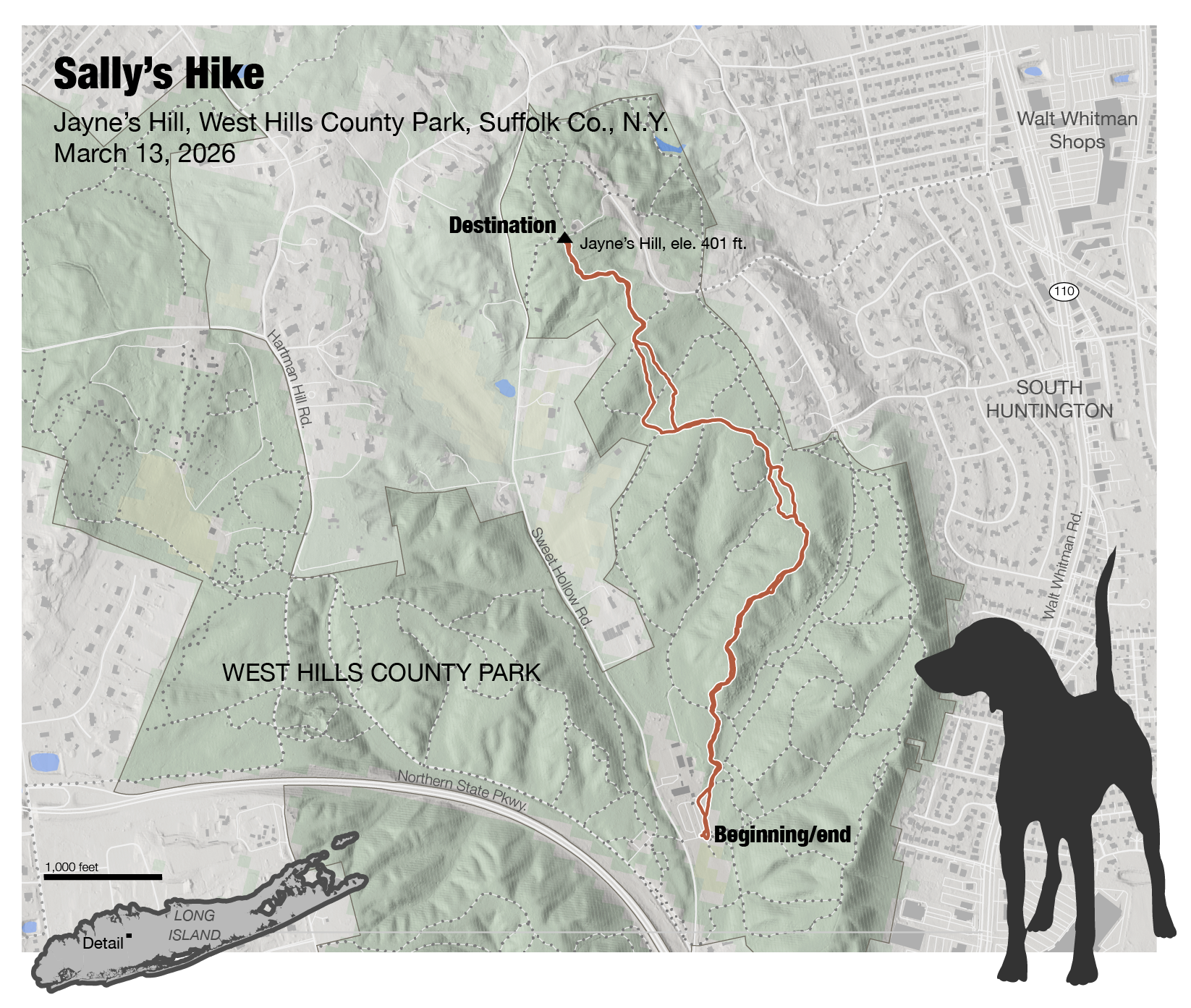 U.S. Presidential Election Results (County Level) County-level choropleth with population-density overlay to emphasize inhabited areas and spatial voting patterns.